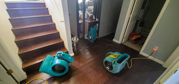 Best Water damage repair service  in Monticello, MS