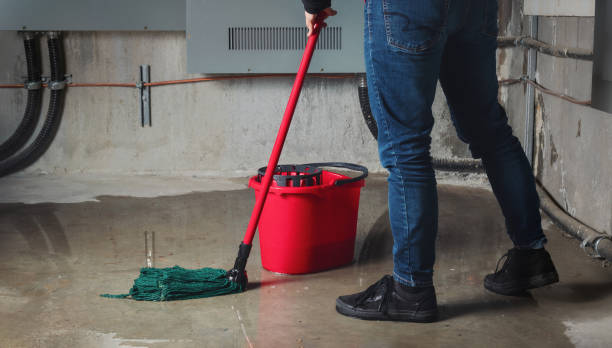 Best Water damage restoration near me  in Monticello, MS