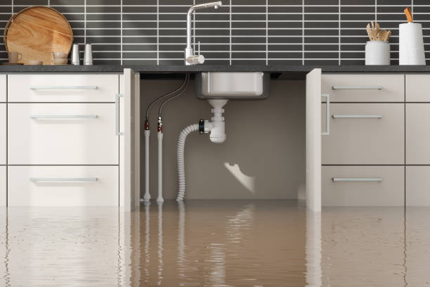 Best Basement water damage restoration  in Monticello, MS
