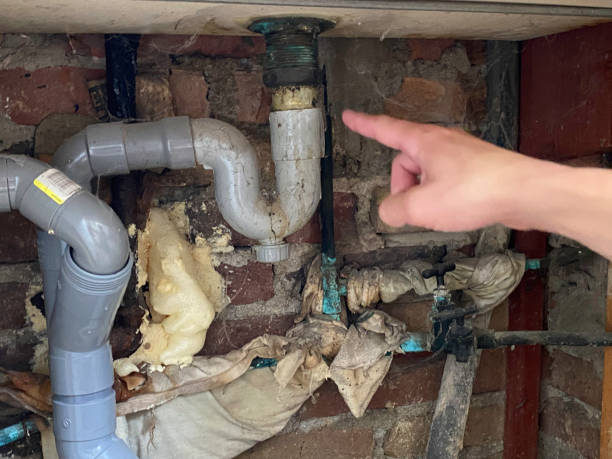 Best Carpet water damage restoration  in Monticello, MS